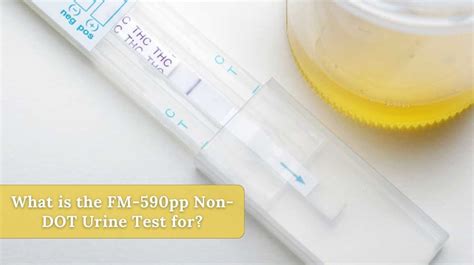A split specimen test is required for DOT drug testing; however, split specimen testing is not required for Non-DOT drug testing. . Fm 590pp non dot urine